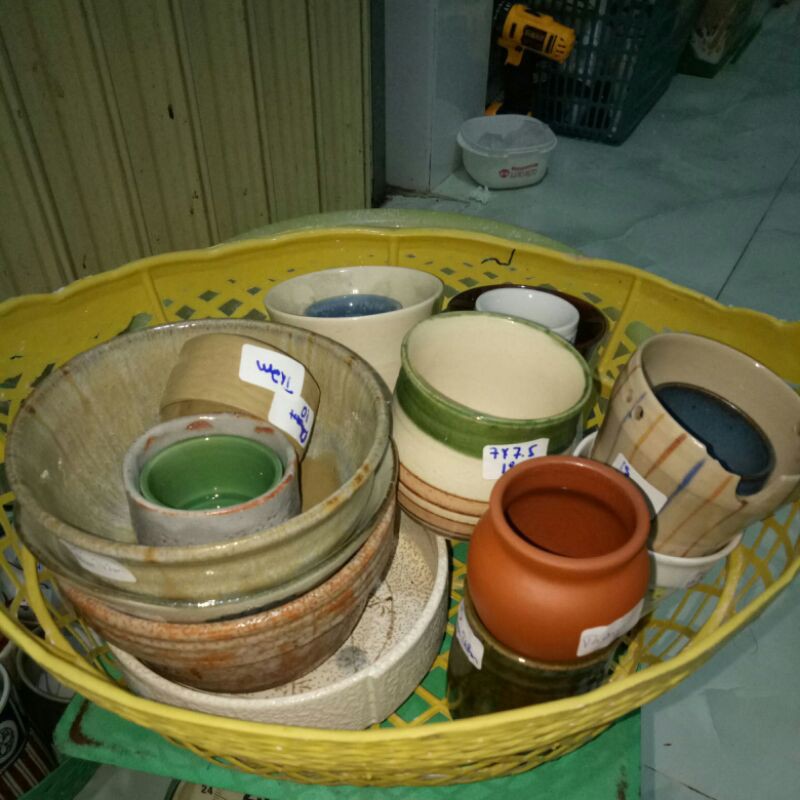 Combo chậu trồng sen đá