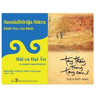 Combo sách phật pháp ứng dụng hay: Kinh vua của Định và Tay thầy trong tay con