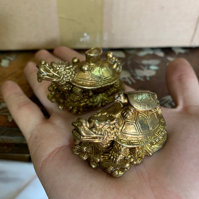Cặp long quy mini