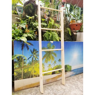 Thang gỗ decor, trang trí nhà, treo quần áo, , thang gỗ thông tự nhiên