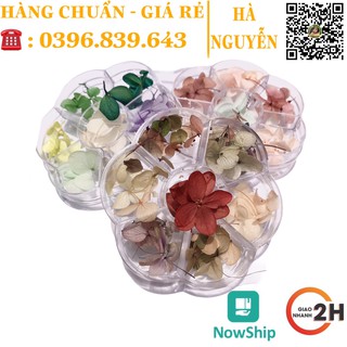 HOA KHÔ ẨN  MÓNG GEL, ẨN MÓNG BỘT - PHỤ KIỆN TRANG TRÍ MÓNG