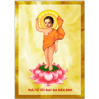 TRANH CANVAS: THÁI TỬ TẤT ĐẠT ĐA ĐẢN SINH 40X60