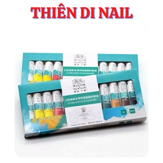 Set bột vẽ cọ bản 12 màu Ecorfin Thiên Di Nail