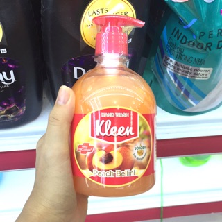 Nước rửa tay Kleen hương trái cây