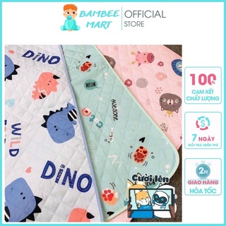 Chiếu lót chống thấm Best Baby kích thước 55x73cm cho bé sơ sinh CHIEU03 BamBee Mart