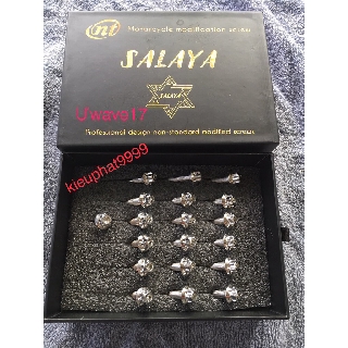 Ốc Lốc Máy Inox Salaya Wave Alfa @ 2017 -> 2020 Đời 110cc