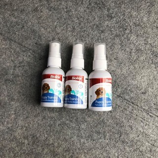 Hướng dẫn chó mèo đi vệ sinh đúng chỗ