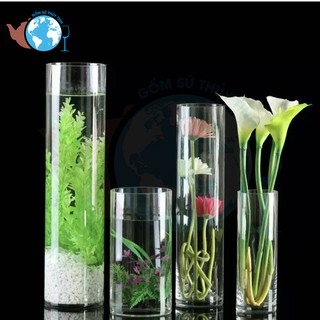 D10CM x H50CM Bình Bông Lọ Hoa Thủy Tinh Trang Trí