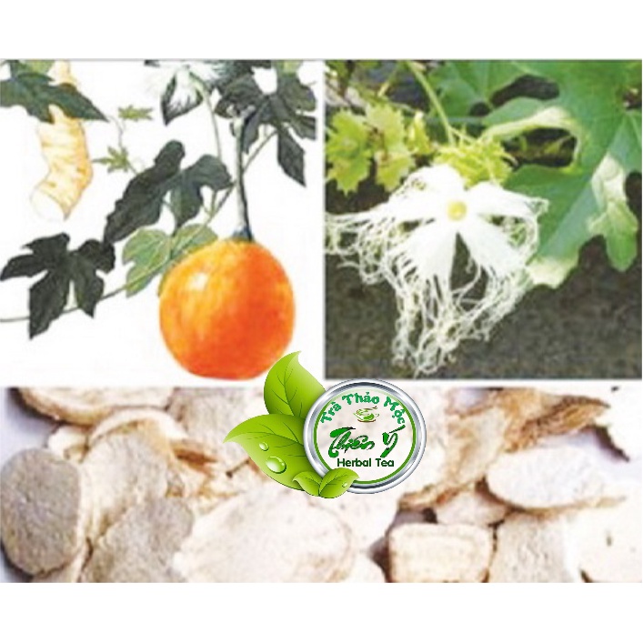 Thiên Hoa Phấn ( Rễ cây Qua Lâu )thái lát nhập khẩu thơm mới khô Sạch bồi bổ sức khỏe