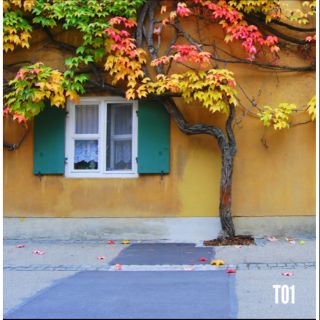 Phông nền chụp ảnh T01