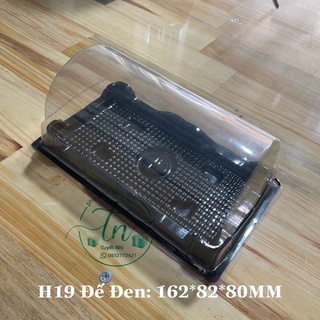 100 hộp nhựa trong H19