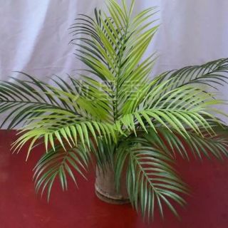 Cụm lá dừa 9 lá trang trí loại đẹp