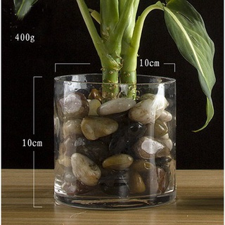 Bình thủy tinh trang trí, cắm hoa trụ tròn 10cm