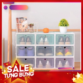 Hộp Đựng Giày Nắp Nhựa Cứng Trong Suốt, Size Lớn Màu Sắc Pastel