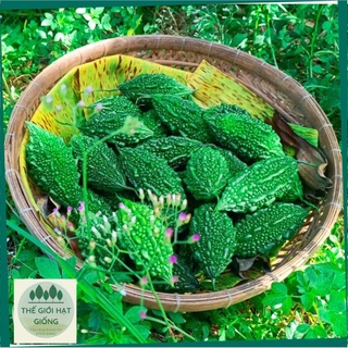 Hạt giống Khổ qua rừng (Mướp đắng rừng)