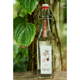 Nước súc miệng chà răng vườn trầu Vietherb 500ml chai thủy tinh - 1300ml