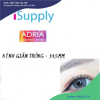 Lens đeo 3 tháng màu Contour Gray 027 14.5 mm