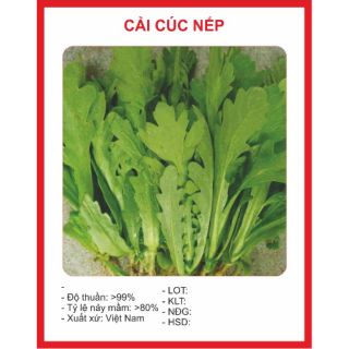 Hạt giống Cải Cúc 100 hạt