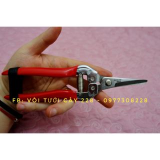 Kéo Cắt Tỉa Cành, Cây Mũi Nhọn Làm Vườn Aquamate Đài Loan
