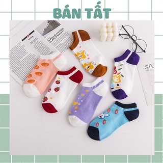 Tất vớ nữ ngắn, combo tất cotton trái cây nhiều màu sắc Hàn Quốc dễ thương