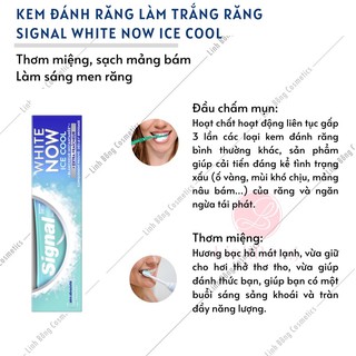 KEM ĐÁNH RĂNG LÀM TRẮNG RĂNG SIGNAL NỘI ĐỊA PHÁP