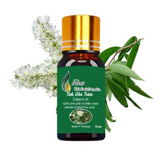 Tinh dầu trám gió nguyên chất 100% tự nhiên khử mùi, diệt vi khuẩn, côn trùng, tinh dầu xông phòng