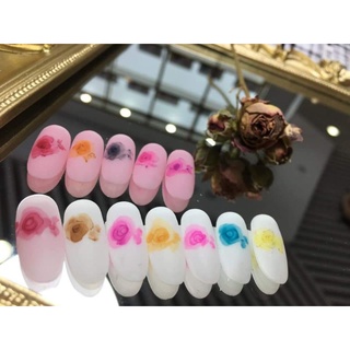 Set loang cồn Barbie