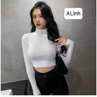 Áo Croptop Cổ Lọ Tay Dài Borip Nhiều Màu Dễ Lựa Chọn Cực Xinh TTKXA0129