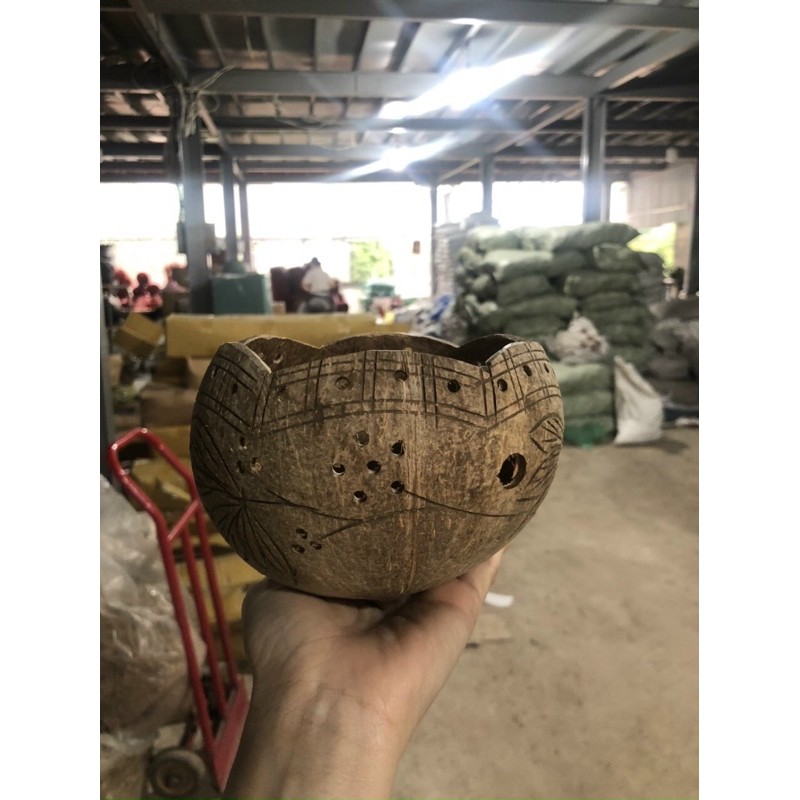 Gáo dừa trồng lan
