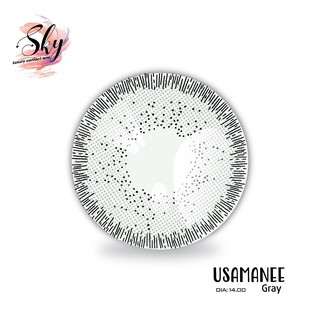 Kính áp tròng Sky Lens -Usamanee Gray 0-6 Độ-Made in Korea Chính Hãng Dia14.00