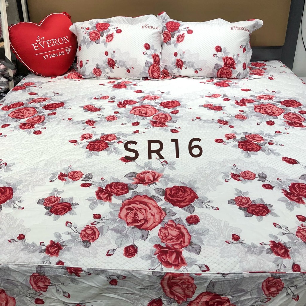 Bộ GA SR16 EVERON