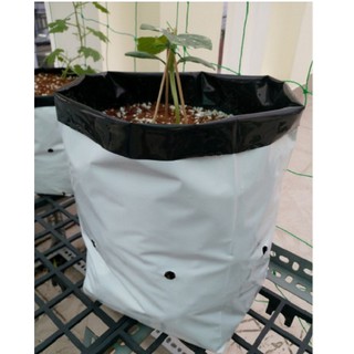 1kg túi PE trồng cây siêu bền (túi phủ UV rất trơn và dai)
