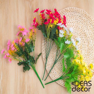 Hoa Cúc - Trang trí lọ hoa, cây cảnh, nội thất, home decor - Ideasdecor