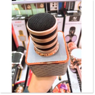 [Mã ELHACE giảm 4% đơn 300K] [HCM] Micro Karaoke Bluetooth SD18 hát cực chất