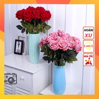 Hoa hồng Ecuador trang trí chụp ảnh, decor nhà cửa, cửa hàng