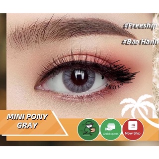 kính áp tròng xám tây Lens thái xám Tây 9 mẫu hsd 6 tháng
