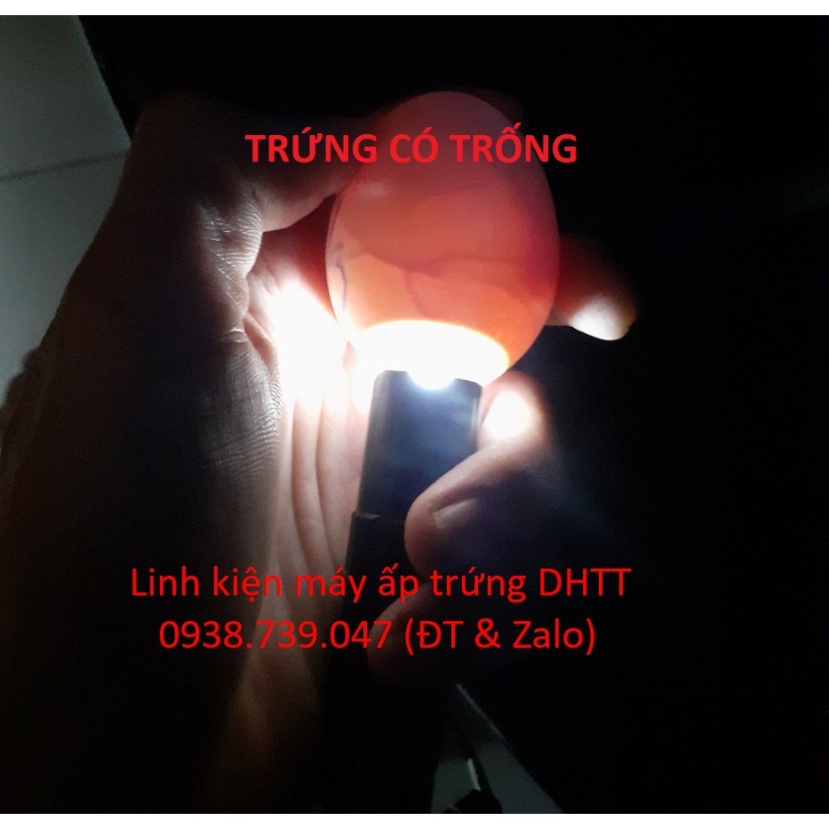 Đèn pin soi trứng
