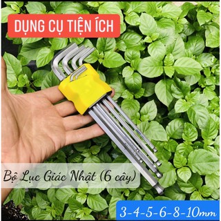 Bộ Lục Giác Nhật - HÀNG BÃI 6 CÂY