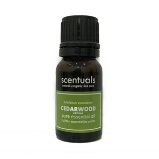 Tinh dầu cây tuyết tùng (hoàng đàn) 10ml - SCENTUALS - Pure essential oil 10 ml/juniperus virginiana/VIRGINIA CEDARWOOD