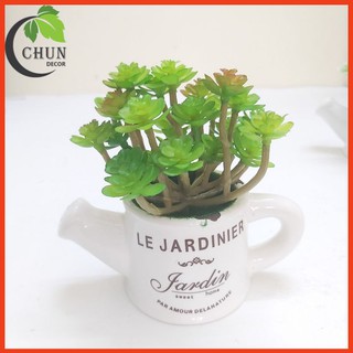 Cây giả - Chậu sen đá ngọc bích trang trí nhà cửa, văn phòng, góc học tập, cửa hàng