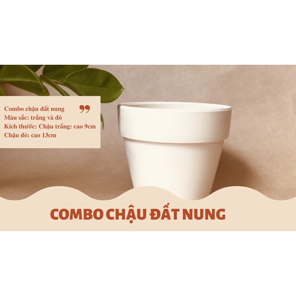 COMBO CHẬU ĐẤT NUNG