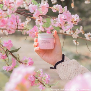 Kem Dưỡng Trắng, Nâng Tone Màu Da Innisfree Jeju Cherry Blossom Tone Up Cream 50ml