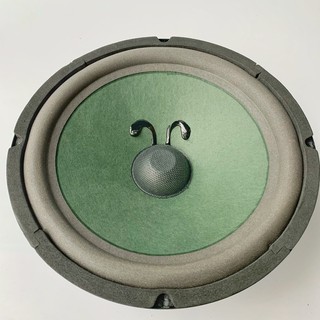 Bass 25 xanh NC 120