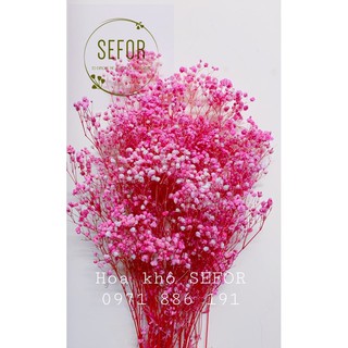 Hoa Baby Bloom hồng baby Gypsophila hoa khô trang trí phòng