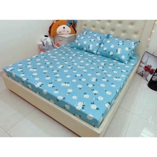 Bộ Ga Gối Cotton Poly - Cúc Họa Mi Xanh Nhạt
