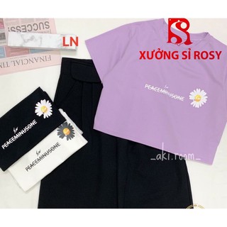 ÁO CROPTOP HOA CÚC CHỮ UNISEX