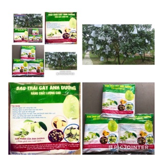 SET 500 TÚI BAO TRÁI CÂY ÁNH DƯƠNG 30x30cm