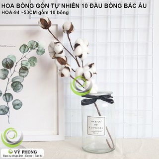 HOA BÔNG GÒN TỰ NHIÊN 10 ĐẦU BÔNG 1 CÂY PHONG CÁCH BẮC ÂU NORDIC TRANG TRÍ NHÀ CỬA ĐẠO CỤ CHỤP ẢNH SẢN PHẨM INS HOA-94