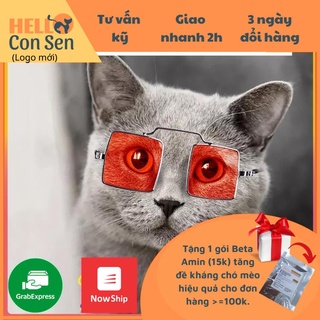 Kính Mát Gọng Vuông Cho chó mèo, thú cưng sành điệu thời trang