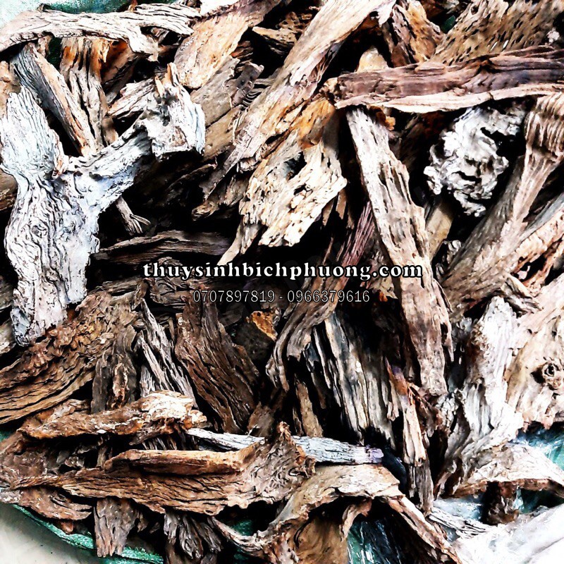 1 KG LŨA SẦM LŨA SĂN ĐÁ - LŨA SẦM ĐỎ CHUYÊN DỤNG THIẾT KẾ HỒ THUỶ SINH
